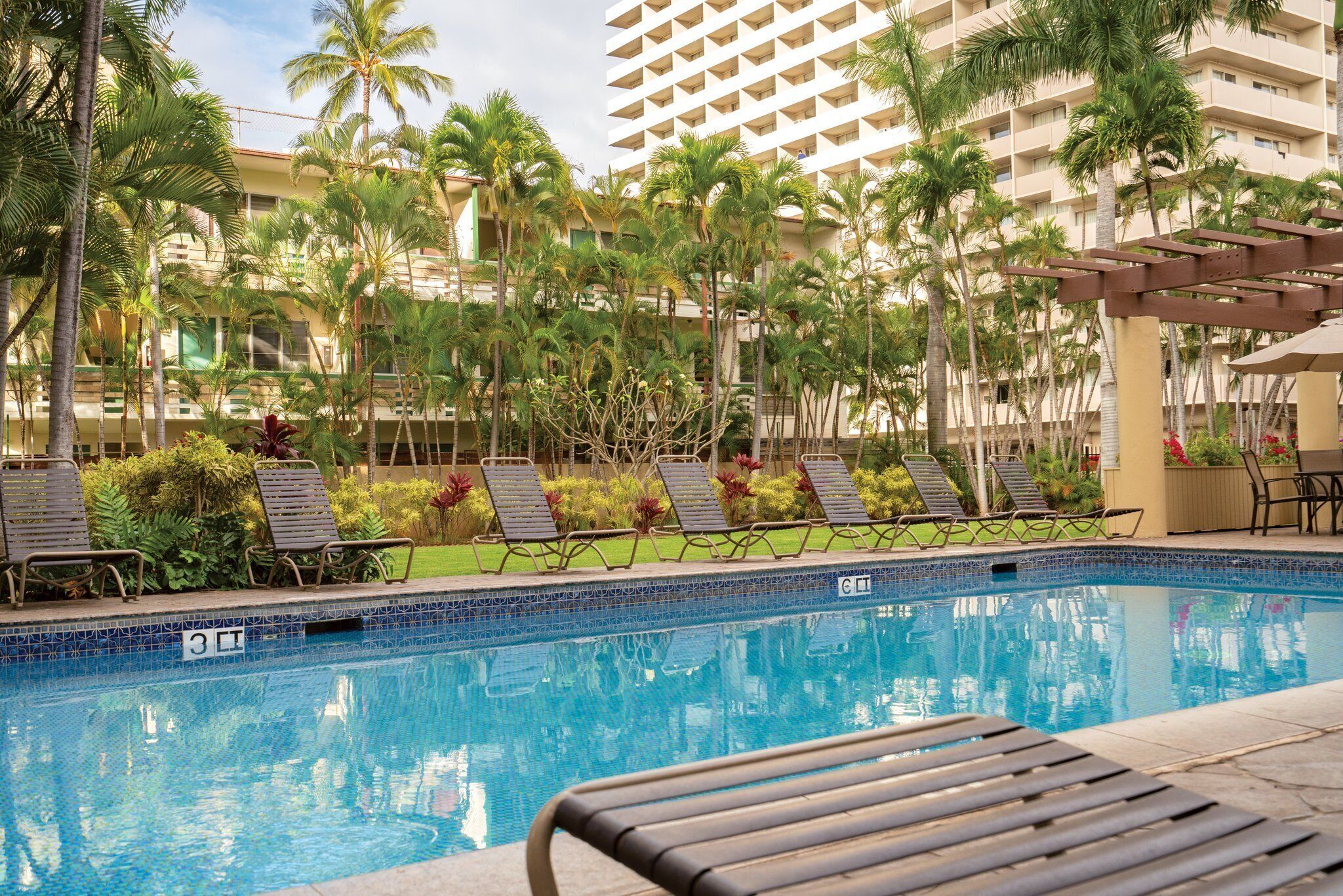 Beautiful 1BR Condo near Waikiki Beach