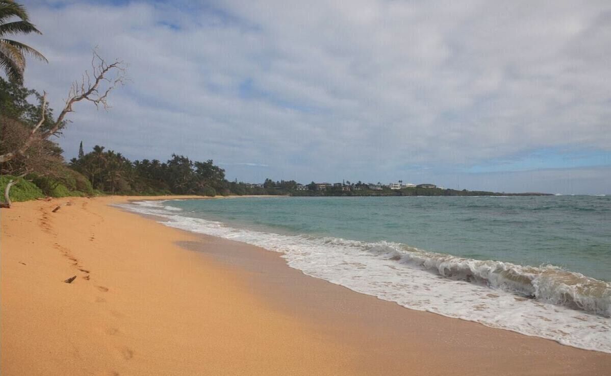 🌸Moku Paradise🌸 - Beach | PCC