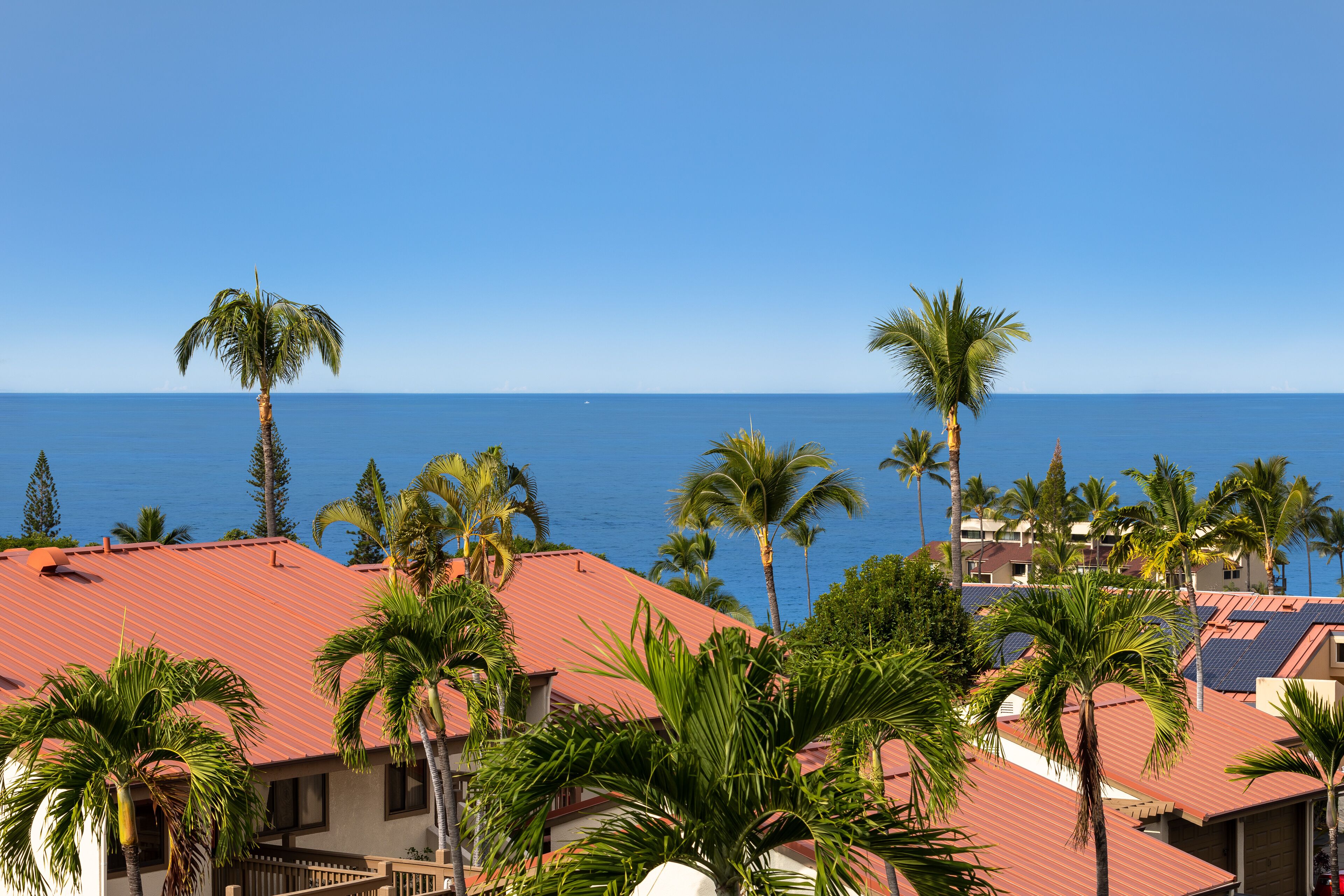 NEW! Spectacular Supersize 1 bedroom Ocean View Condo!nn