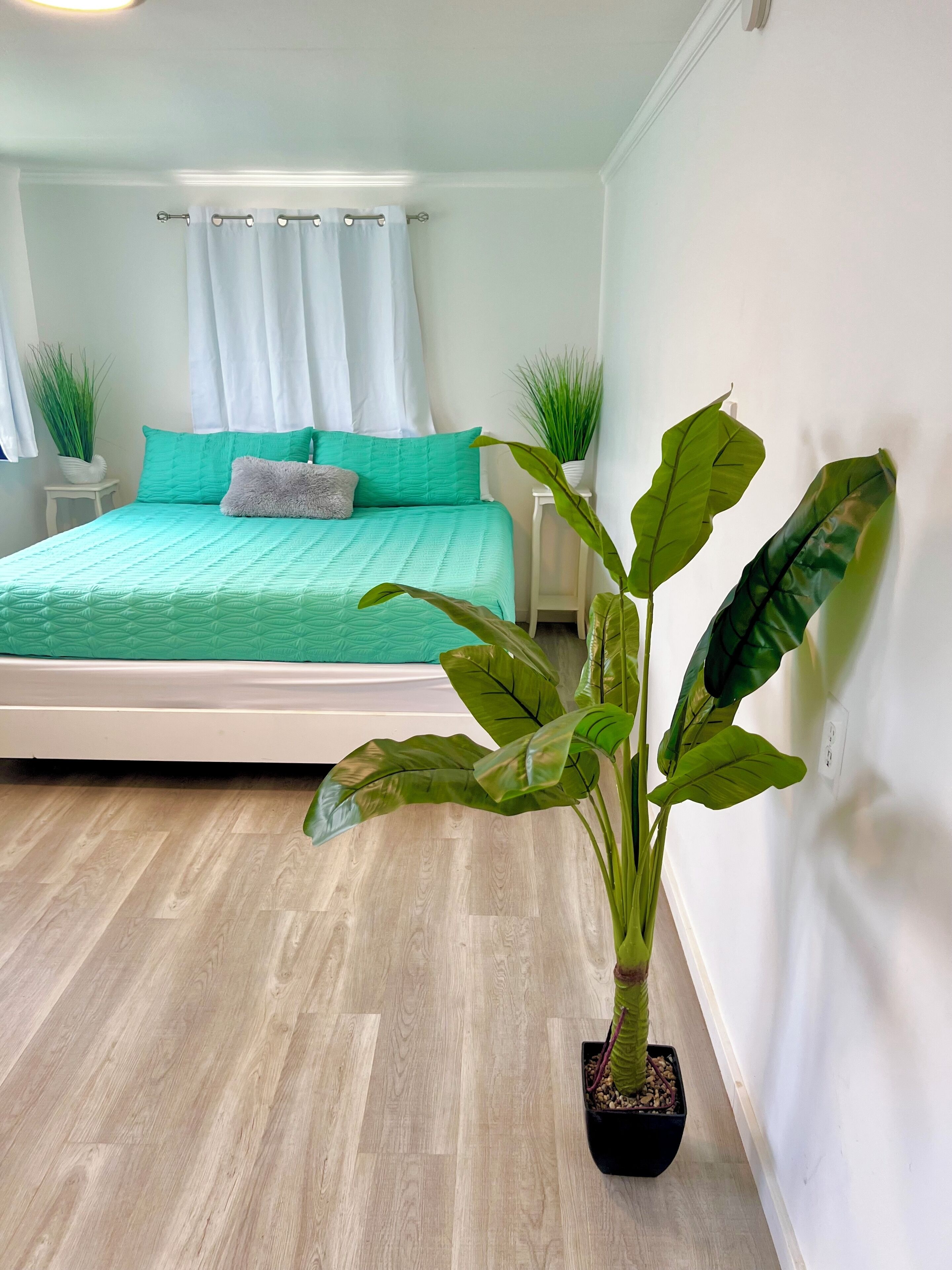 Beachy Hawaiian Cottage on the Famous North Shore. 2 bed, 1 bath. Sleeps 4